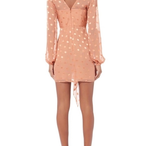 Michelle Mason Polka Dot Plunge Long Sleeve Mini Dress Pink Size 0 Cocktail - Picture 3 of 13